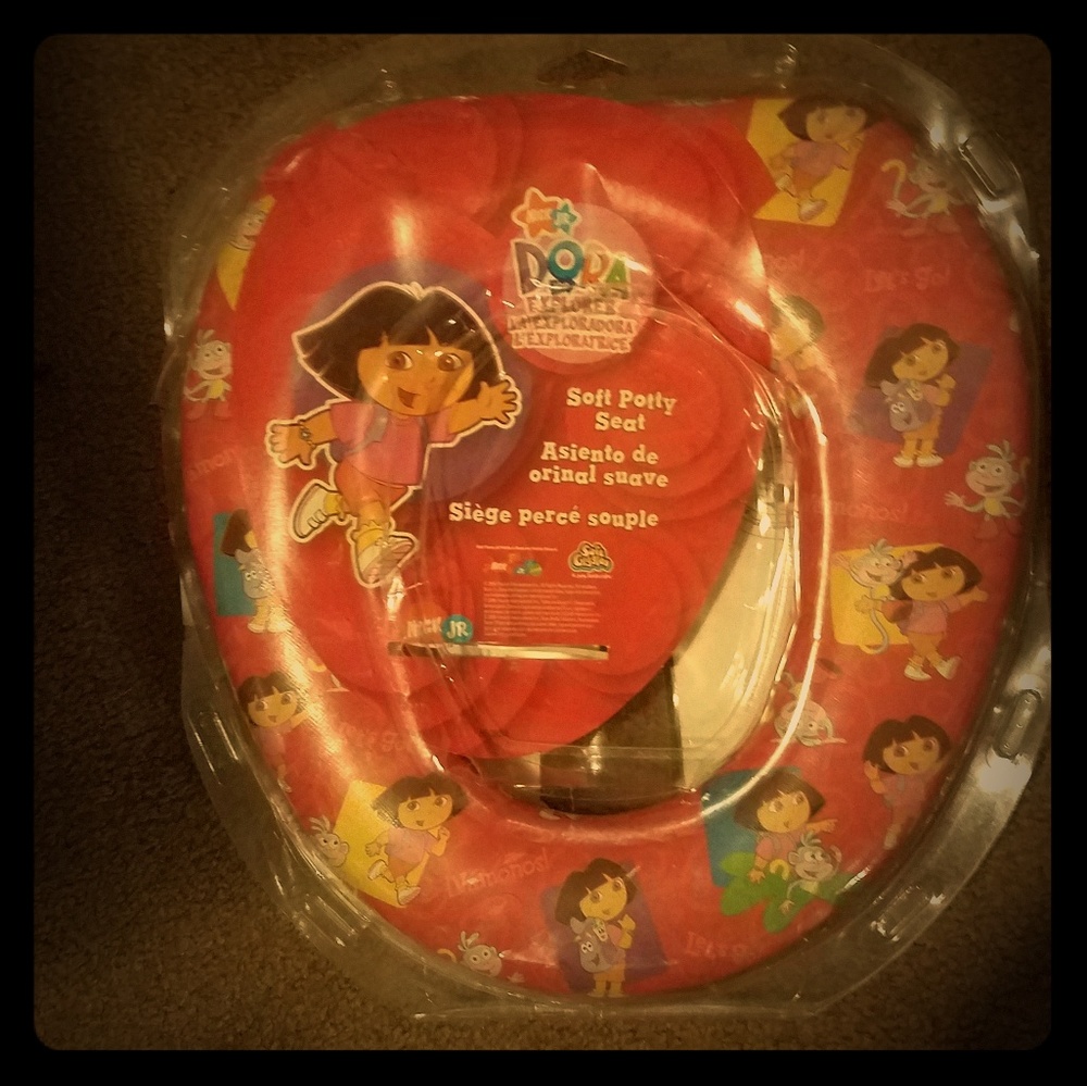 Toddler potty seat